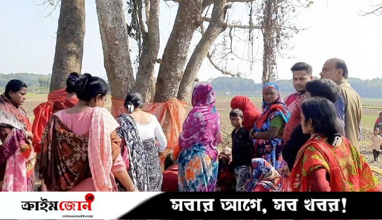 গাছ কাটতে গিয়ে ঘটল অলৌকিক ঘটনা, তোলপাড়