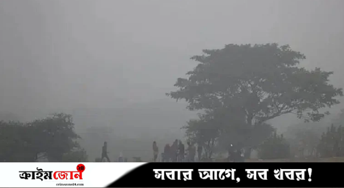 কুয়াশায় শীতের তীব্রতা বৃদ্ধি