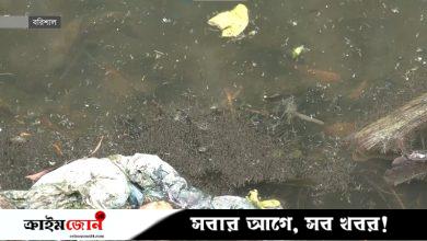 বরিশালে মশার রাজত্ব! ওষুধে মরছে তেলাপোকা