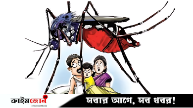 বরিশালে মশার উপদ্রবে অতিষ্ঠ নগরবাসী, কার্যকর উদ্যোগের দাবি