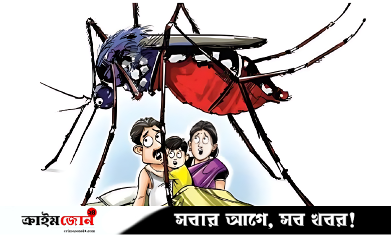বরিশালে মশার উপদ্রবে অতিষ্ঠ নগরবাসী, কার্যকর উদ্যোগের দাবি