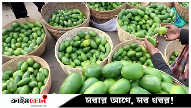 বরিশালে নিত্যপণ্যের দাম বাড়লেও ভোক্তা অধিদপ্তরের কার্যক্রম অদৃশ্য!