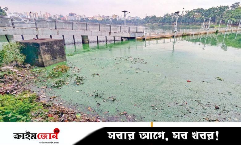 ঝলমলে হাতিরঝিল এখন বিবর্ণ