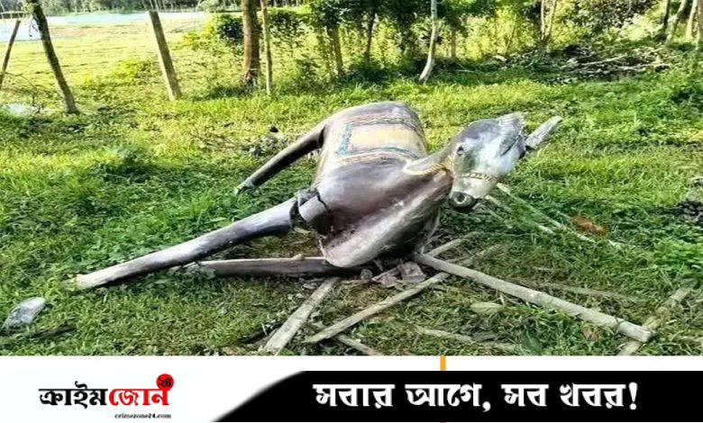 পার্কের ঘোড়া ভেঙে ফেলল বন্য হাতি
