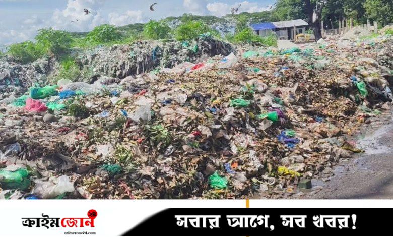 হোমনায় রাস্তায় পৌরসভার ময়লার স্তূপ, দুর্গন্ধে অতিষ্ঠ জনজীবন