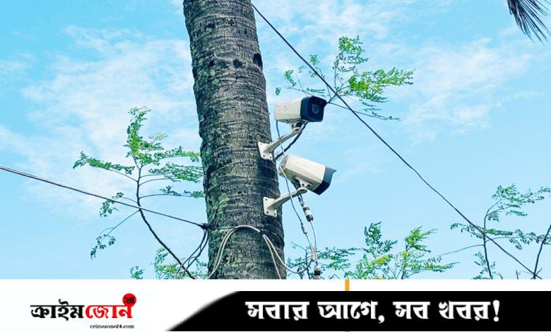 ঘুনে ধরা গাছে ঝুলছে বিএডিসির সিসি ক্যামেরা