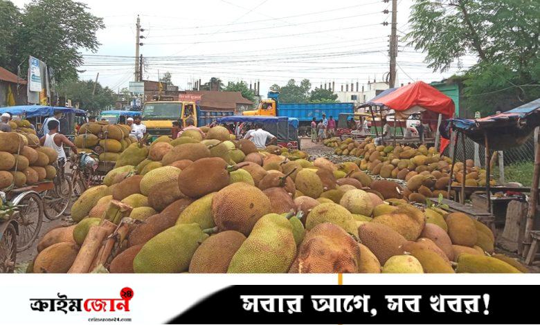 সখীপুর থেকে প্রতি সপ্তাহে যাচ্ছে অর্ধকোটি টাকার কাঁঠাল