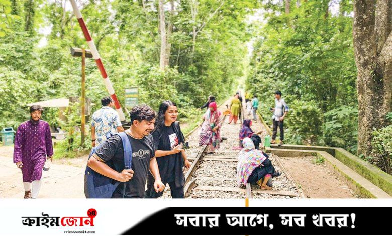 বনের রেলপথে ঝুঁকির যাত্রা