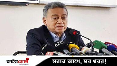নিশ্চিতভাবে আমরা ফেব্রুয়ারির নির্বাচনের দিকে এগিয়ে যাচ্ছি: আমীর খসরু