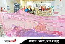 প্রতিদিন তিন শতাধিক রোগী হাসপাতালে