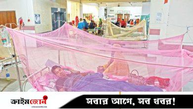 প্রতিদিন তিন শতাধিক রোগী হাসপাতালে