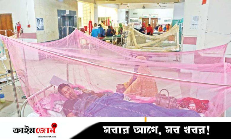 প্রতিদিন তিন শতাধিক রোগী হাসপাতালে