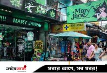 থাইল্যান্ডে ফের নিষিদ্ধ হচ্ছে গাঁজা, হুমকির মুখে ১০০ কোটি ডলারের শিল্প