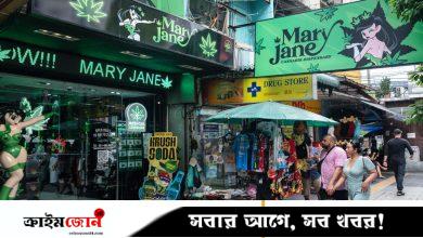 থাইল্যান্ডে ফের নিষিদ্ধ হচ্ছে গাঁজা, হুমকির মুখে ১০০ কোটি ডলারের শিল্প