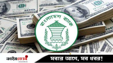 ৩০ বিলিয়ন ডলার ছাড়াল দেশের রিজার্ভ