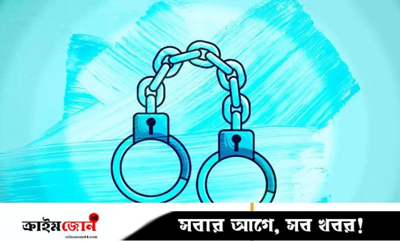 শিশুদের আপত্তিকর ছবি ধারণ ও শেয়ার, জাপানে ২ শিক্ষক গ্রেপ্তার