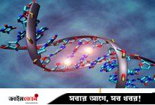 মানুষের জিন তৈরির বিতর্কিত কাজ শুরু