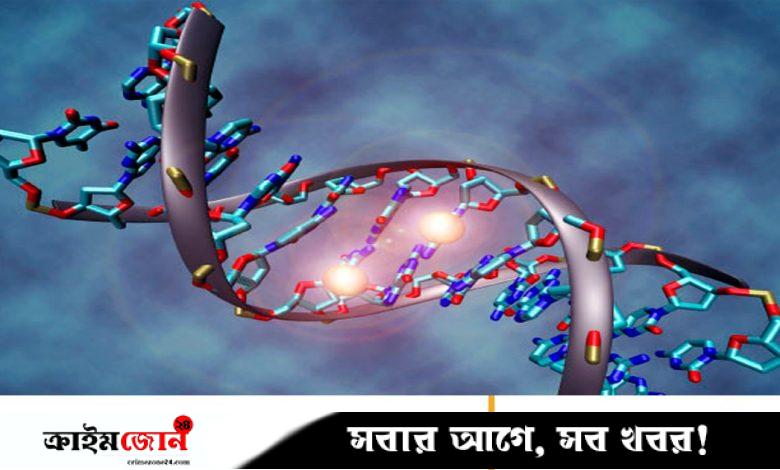 মানুষের জিন তৈরির বিতর্কিত কাজ শুরু