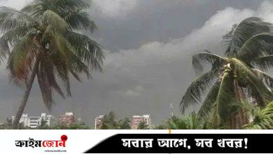 ঢাকায় হালকা বৃষ্টির সম্ভাবনা, গরমে পড়বে না প্রভাব
