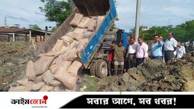 বড়লেখায় ভিজিএফের ২৩৪ বস্তা পচা চাল মাটিচাপা