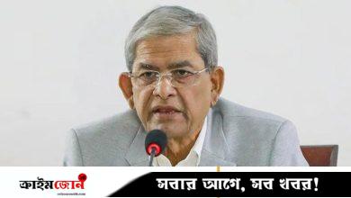 চীন দৃঢ়ভাবে কাজ করবে নির্বাচিত সরকার এলে, সফর শেষে ফখরুল