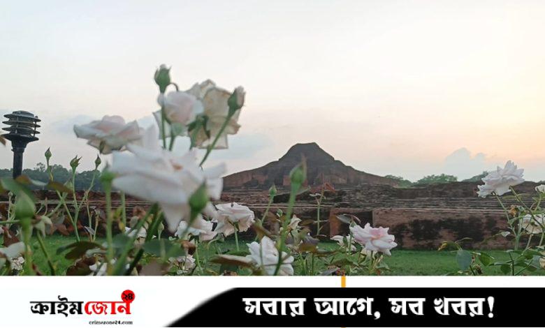 ফুলে ফুলে সেজেছে পাহাড়পুর বৌদ্ধবিহার