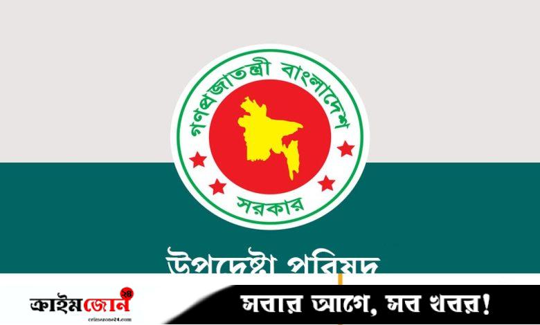 স্থানীয় সরকার নির্বাচনে থাকছে না দলীয় প্রতীক: উপদেষ্টা আসিফ