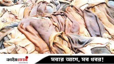 ৫ বছরে চামড়াশিল্পে সাড়ে ১২ বিলিয়ন ডলার আয়ের সম্ভাবনা