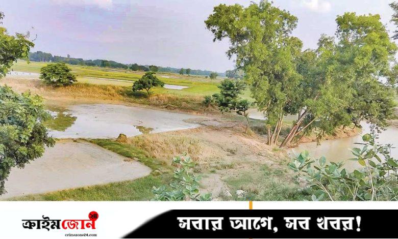 রাজশাহীর গোদাগাড়ীতে মুরগির ফার্মে পরিবেশের বারোটা