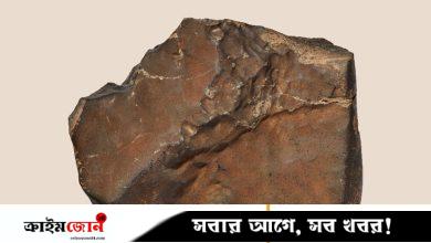 পাথরের টুকরো নিলামে, দাম ৬৫ কোটি টাকা
