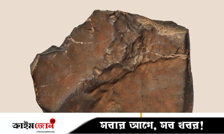 পাথরের টুকরো নিলামে, দাম ৬৫ কোটি টাকা