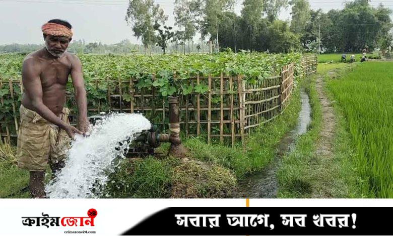 আমনে বাড়তি খরচ শতকোটি টাকা