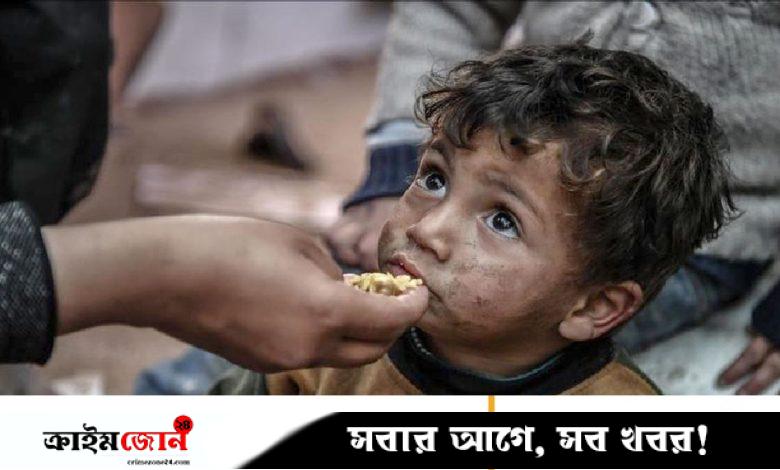 দিনের পর দিন অনাহারে কাটাচ্ছে গাজার মানুষ, বাড়ছে মৃত্যু