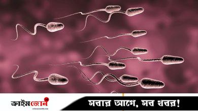 বীর্যে বিরল অ্যালার্জি, নারীর বন্ধ্যত্ব নিয়ে চিকিৎসকদের নতুন সতর্কতা