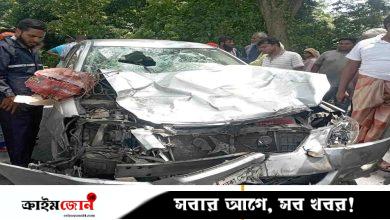 বড়াইগ্রামে প্রাইভেট কারের ধাক্কায় ভ্যানচালক নিহত