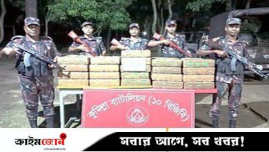 কুমিল্লা সীমান্তে কোটি টাকার ভারতীয় বাজি ও রেণু জব্দ