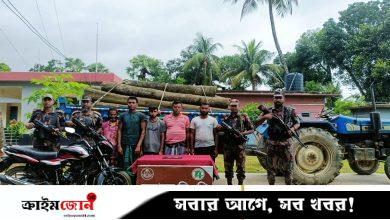 বন বিভাগের কাঠ ভারতে পাচারকালে আটক ৫