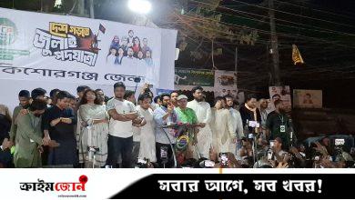 আমরা নতুন সরকার পেলেও নতুন দেশ এখনো পাইনি: নাহিদ