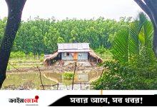 যোগসাজশে সংরক্ষিত বন দখল