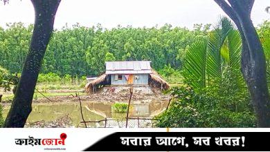 যোগসাজশে সংরক্ষিত বন দখল