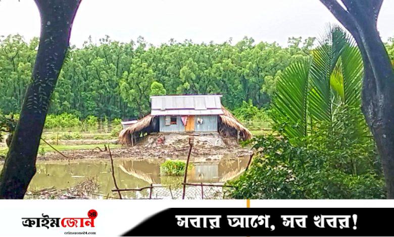 যোগসাজশে সংরক্ষিত বন দখল