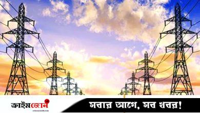 সিলেটে ২২৫ মেগাওয়াট বিদ্যুৎ উৎপাদন বন্ধ, গ্রাহকদের ক্ষোভ