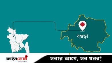 গরু জবাই দিয়ে মাংস নিয়ে গেল চোরেরা