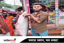 পায়রা নদীতে বড়শিতে উঠল ১১ কেজির পাঙাশ