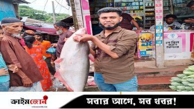 পায়রা নদীতে বড়শিতে উঠল ১১ কেজির পাঙাশ