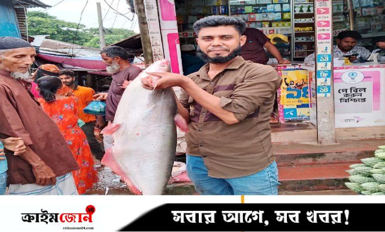 পায়রা নদীতে বড়শিতে উঠল ১১ কেজির পাঙাশ