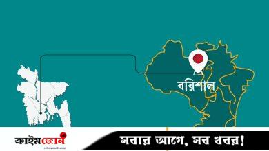 ভোলার মেঘনায় বালুবাহী বাল্কহেডডুবি