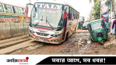 হেলেদুলে চলে যানবাহন