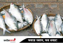 ডিপ ফ্রিজে ইলিশ সংরক্ষণ করবেন যেভাবে
