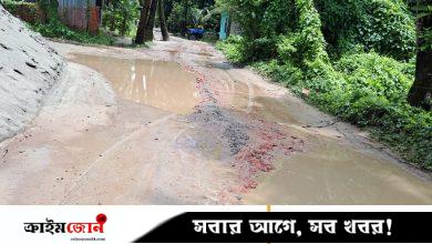 গর্তে ভরা ৩ কিলোমিটার পথ, ভোগান্তি চরমে